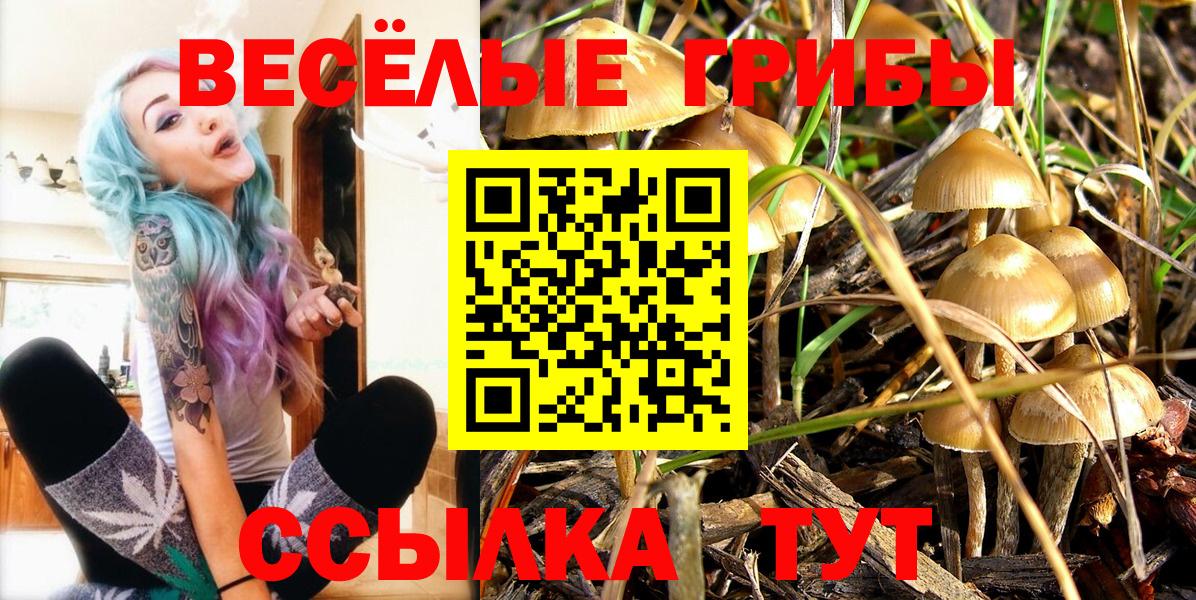 Чапаевск  Псилоцибиновые грибы GOLDEN TEACHER  Вход с VPN 